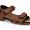 Mephisto-shop Sandales Homme – Modèle BRICE Chataigne